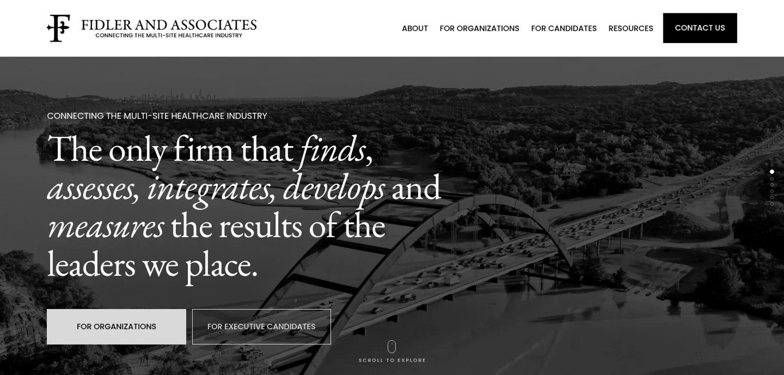 Fidler and Associates website preview
